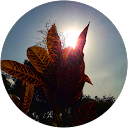 Raunak Singh profile picture