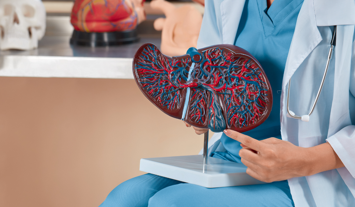 Liver Cirrhosis Treatment Cost in Gaur City, Greater Noida: 2026 Stage-Wise Pricing Guide